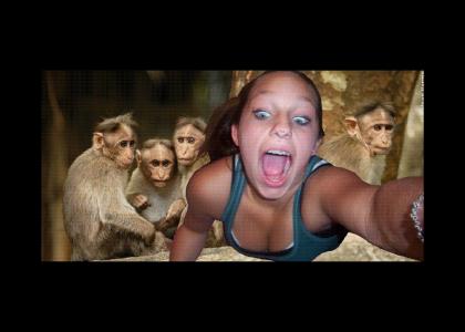 Shavon Is A Monkey