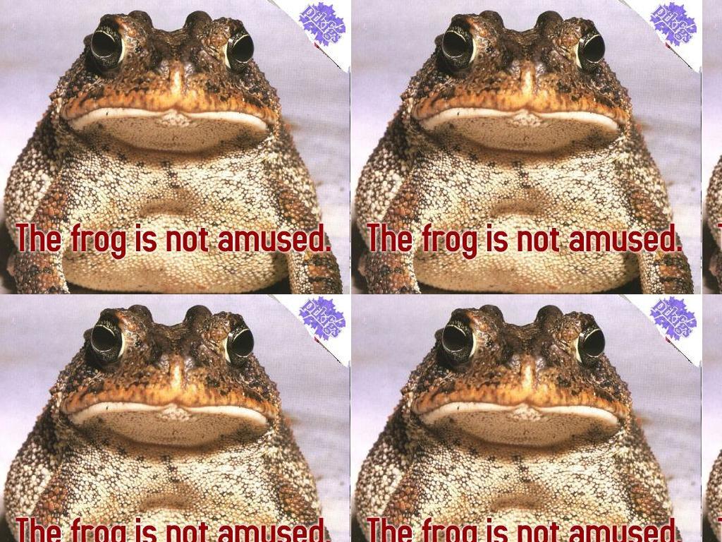 frognotpleased