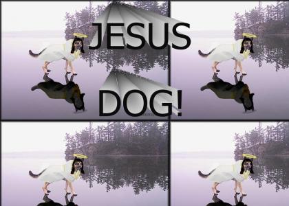 IT'S JESUS DOG!
