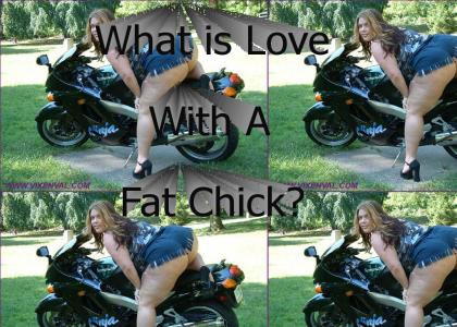 Loving Fat Chicks