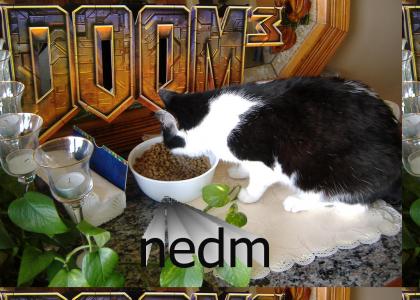 Hungry cat (nedm) [not superimposed]