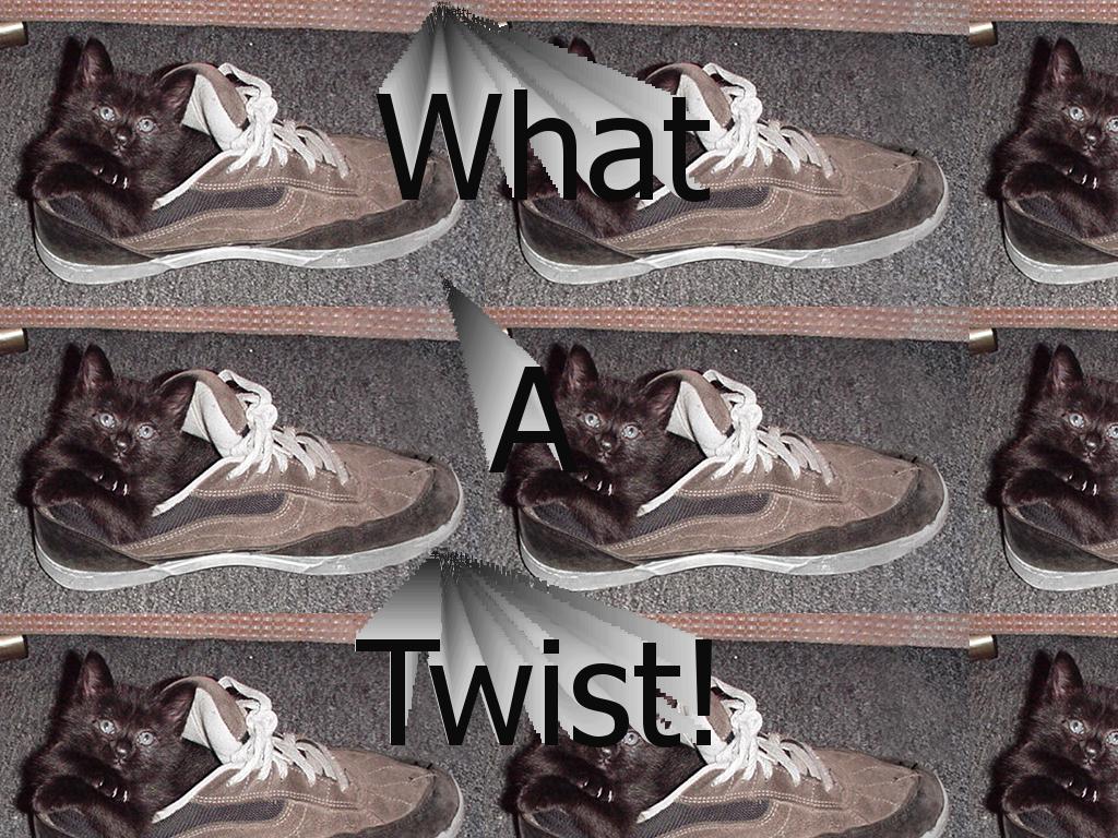 twistymctwisttwist