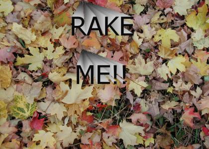 Rake Me!!