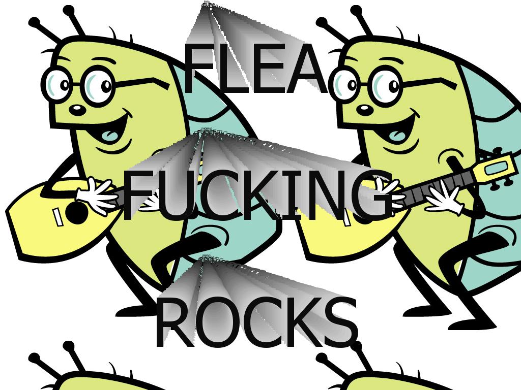 FleaRocks