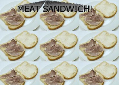 Meat Sandwich