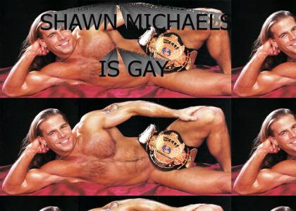 shawn michaels