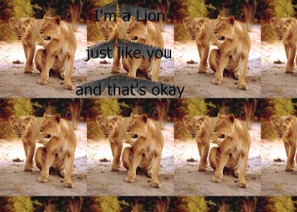 a lion like you
