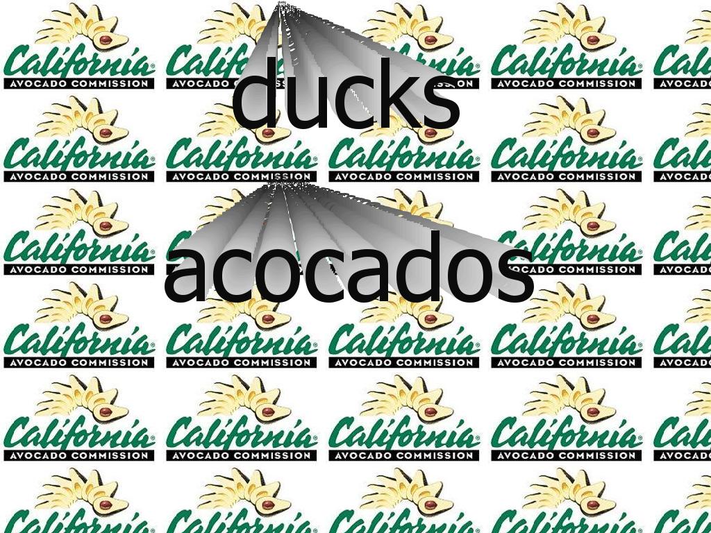 ducksandavocados