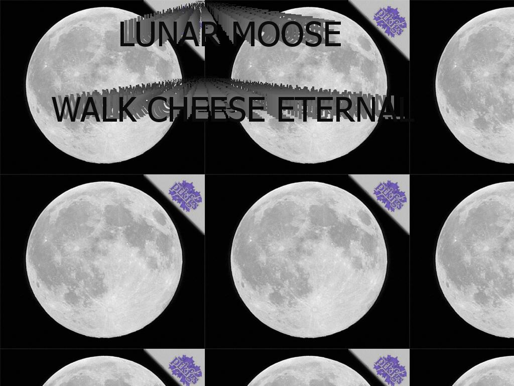 lunarmoose