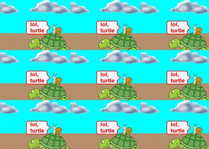 lol, turtle
