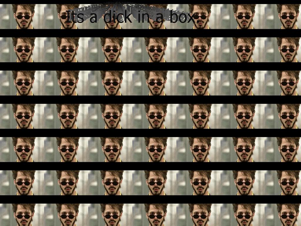 snldickinabox