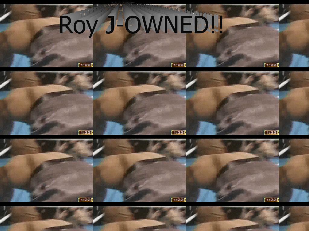 Royj-OWNED