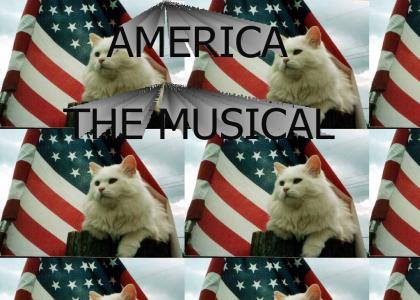 AMERICA- THE MUSICAL!!