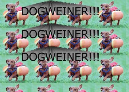 DOGWEINER!!!