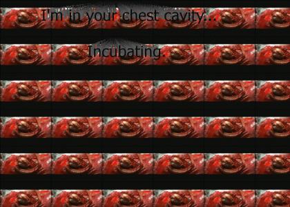 I'm in your chest cavity