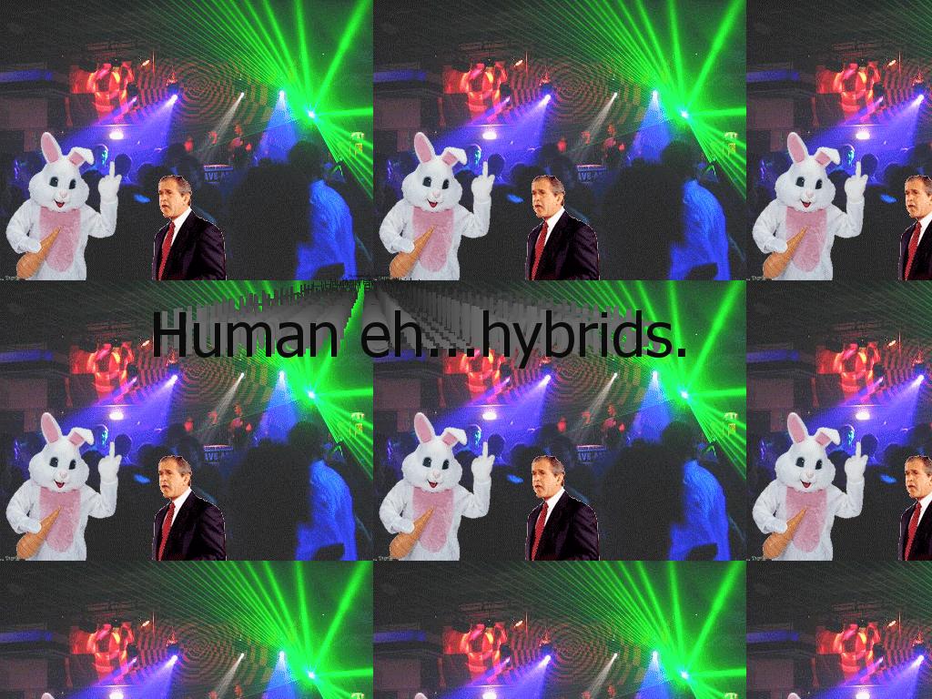 humanimalhybrid