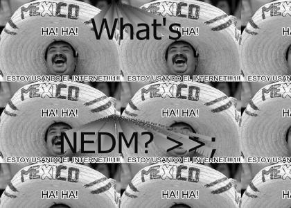 What is NEDM? >>;
