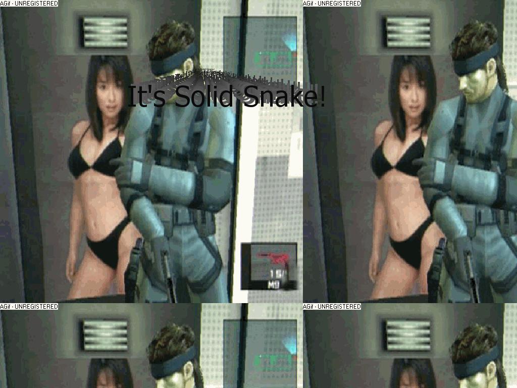 itssolidsnake