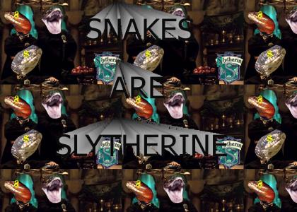 These snakes are Slytherin (dew army)