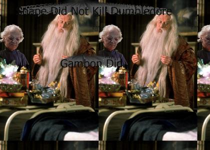 Snape Did Not Kill Dumbledore