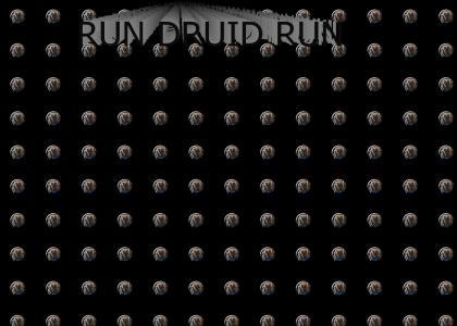 Run Druid Run
