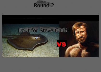 Chuck Norris VS Stingray