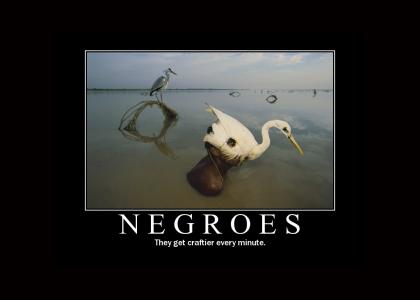 NEGROES!