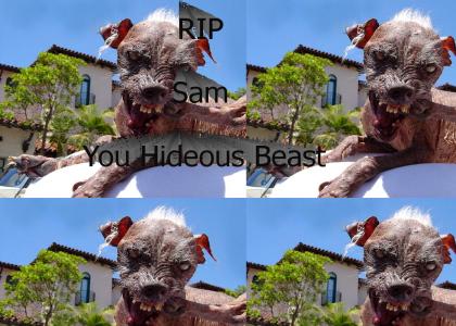 RIP Sam The Ugly Dog