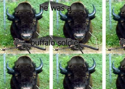 buffalo soldier