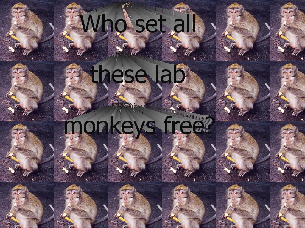 labmonkey