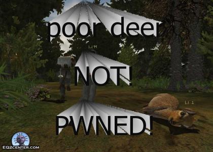 pwned deer(Everquest2)