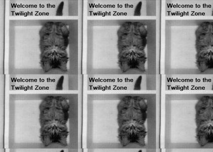 Welcome to the Twilight Zone