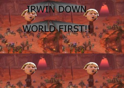 irwin down
