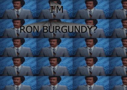 Im Ron Burgundy?