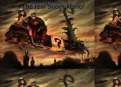 Super Mario if he was real!