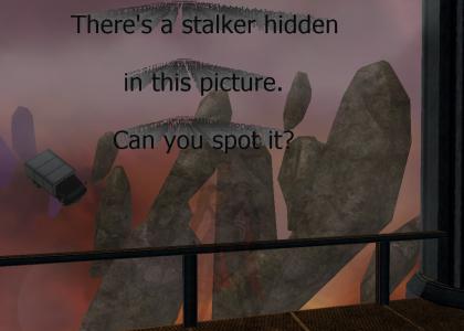 Spot the stalker