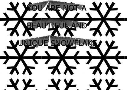 YOU ARE NOT A BEAUTIFUL AND UNIQUE SNOWFLAKE