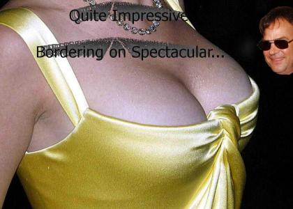 Scarlett Johanssons boobs... are quite impressive