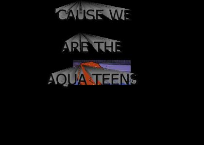 WE ARE THE AQUA TEENS