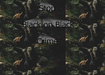 Stop Black on Black Crime