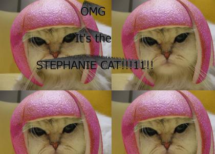Stephanie Cat