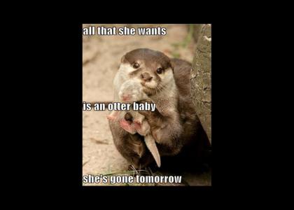 All the otter wants