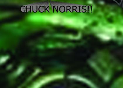 chuck norris doesnt change facial