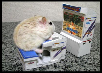 My Hamster Is Teh Pwnzor!