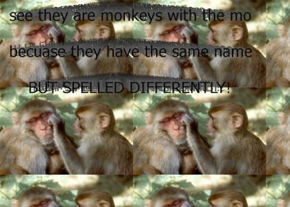 monkeys but not that wya but kind