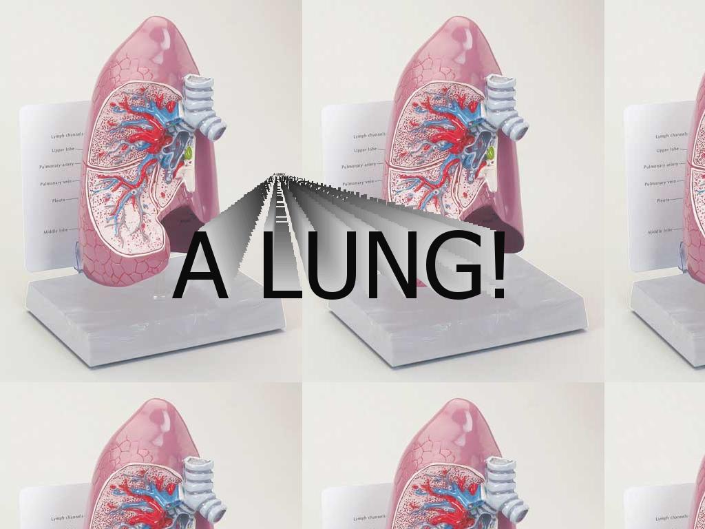 lung