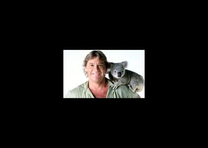 Ten Bell Salute for Steve Irwin