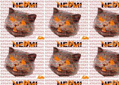 NEDM Recomposed in adobe photoshop with shocking japanese cat on washtub bass