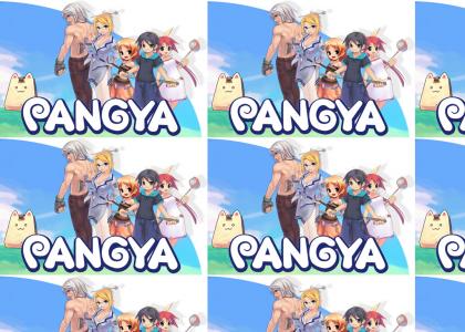 The PangYa Life