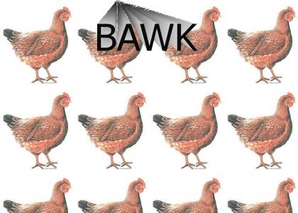 BAWK